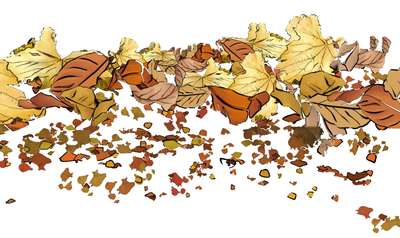 Feuilles mortes et fragments d'humus, illustration de Morgane Ganault