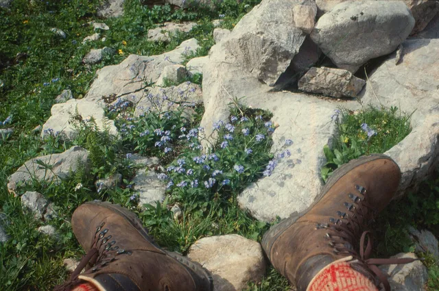 Chaussures de randonnée (photo provisoire)